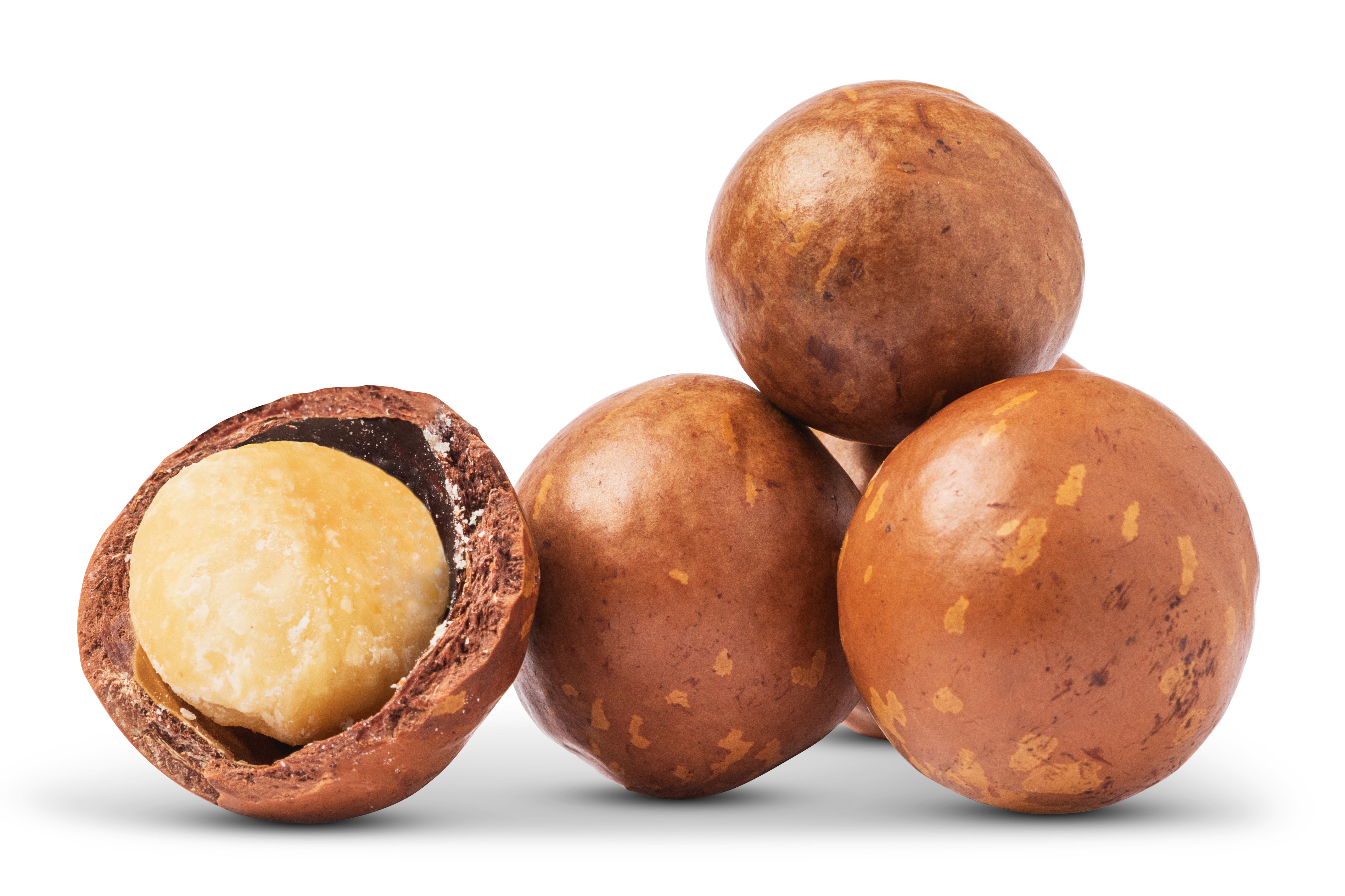Macadamia Nuts (In Shell) - By the Pound - Nuts.com